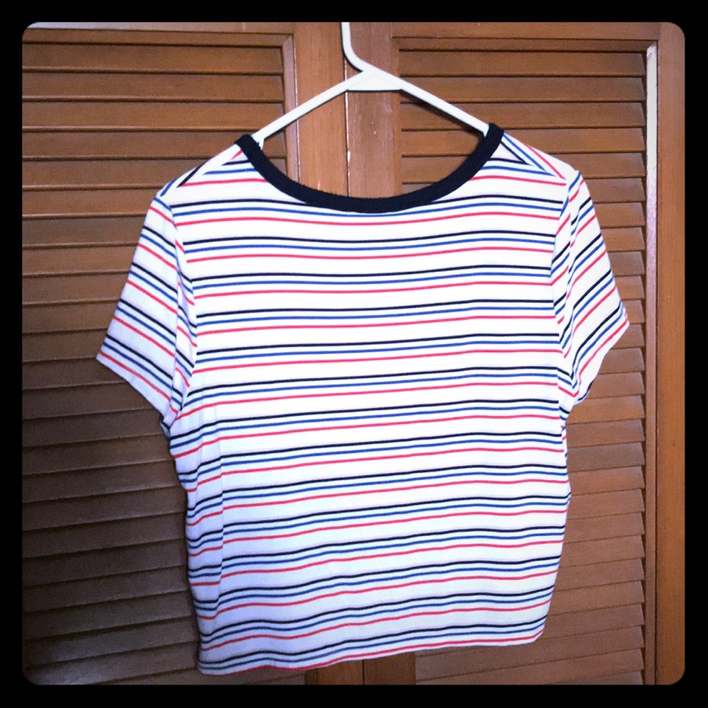 Wild Fable Crop Top